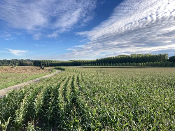Vends propriété de 75ha dont 70ha de terres de vallées irriguées Périgueux (24)