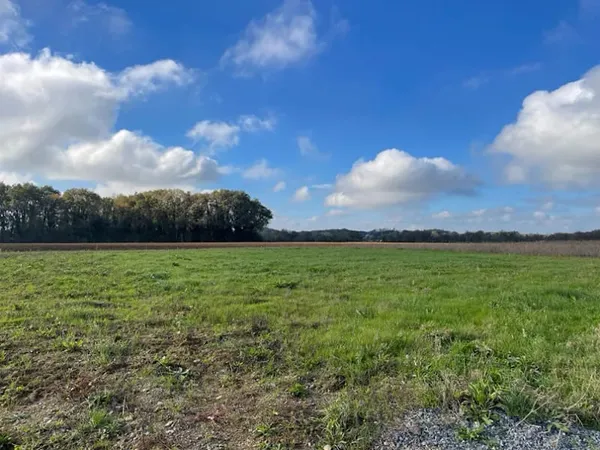 Maison neuve 5 pièces 83 m²