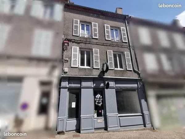 Immeuble de rapport 9 pièces 290 m²