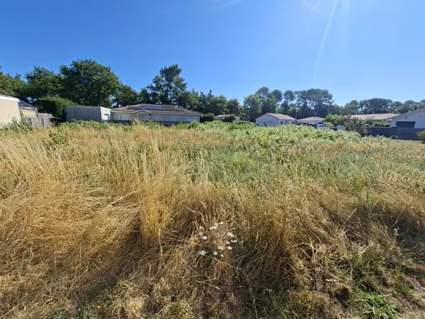 Terrain constructible