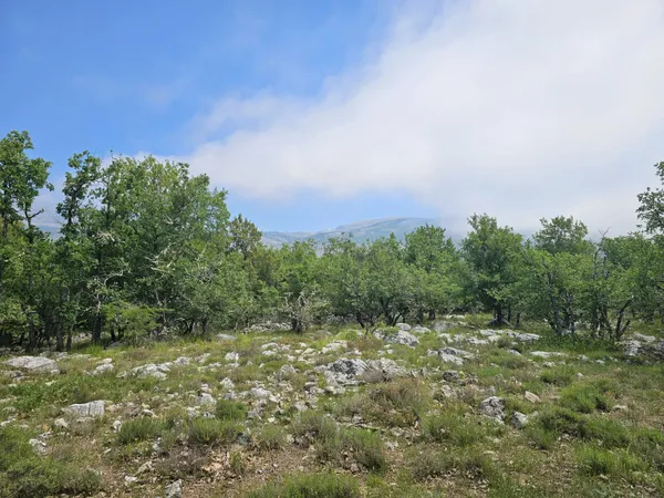 Terrain de loisirs avec vue dégagée sur les montagnes