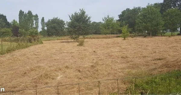Terrain à bâtir