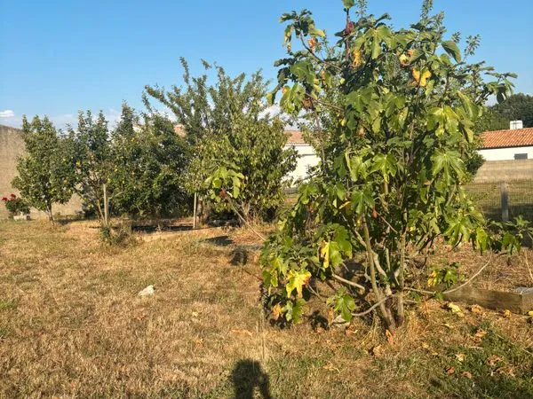 Grange avec terrain