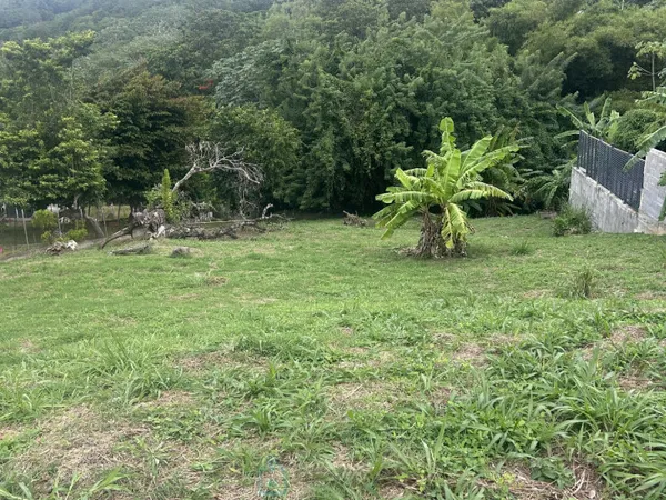 Terrain constructible 2285 m²