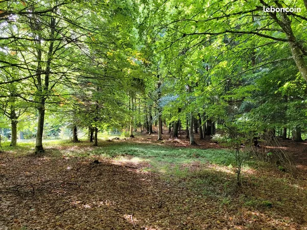 Propriété avec Terrain