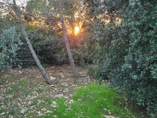 Mazet 85 m2 Route d'Uzes - NIMES