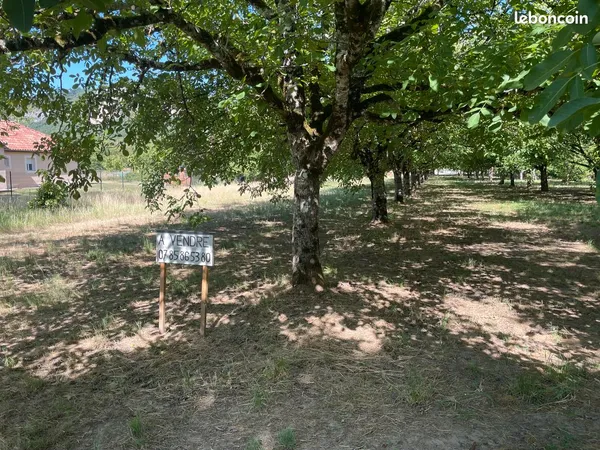 Terrain constructible