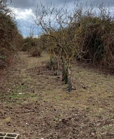 Terrain agricole