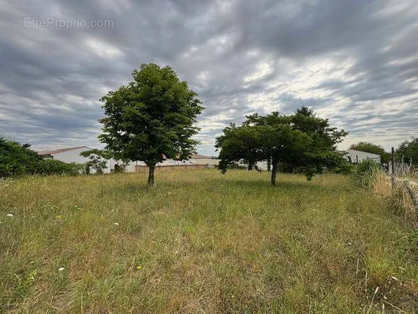 Terrain à bâtir de 1040 m² à MESCHERS-SUR-GIRONDE (17)