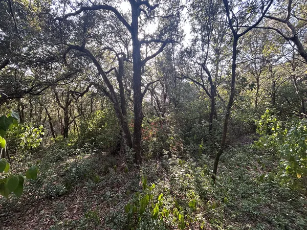 TERRAIN À BÂTIR DE 1 390 M² SUPERBE ENVIRONNEMENT ET VUE DÉGAGÉE