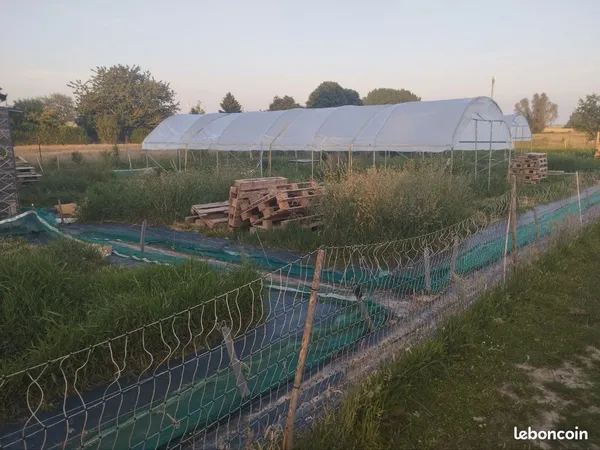 Loue terrain maraîchage converti en Bio