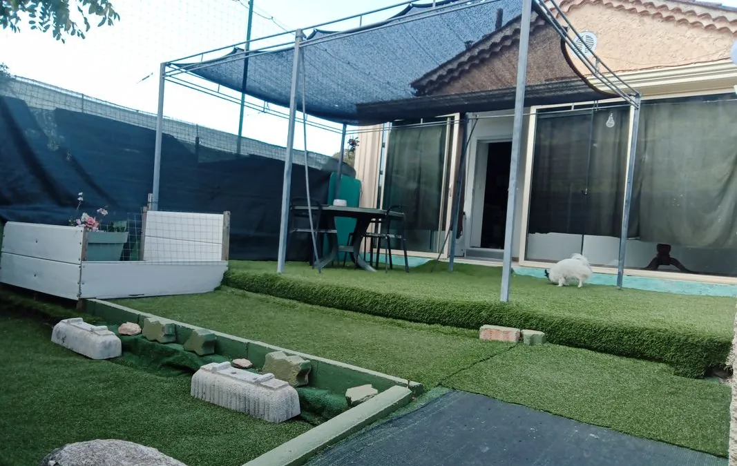 Photo 3