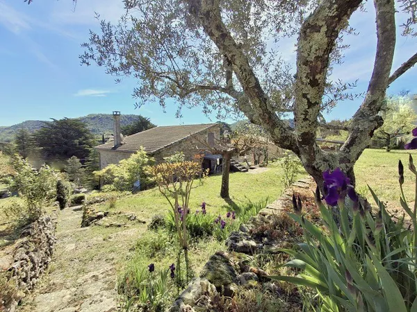 Maison Vente Les Vans 5p 90m² 349000€