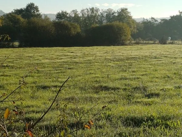 Terrain agricole