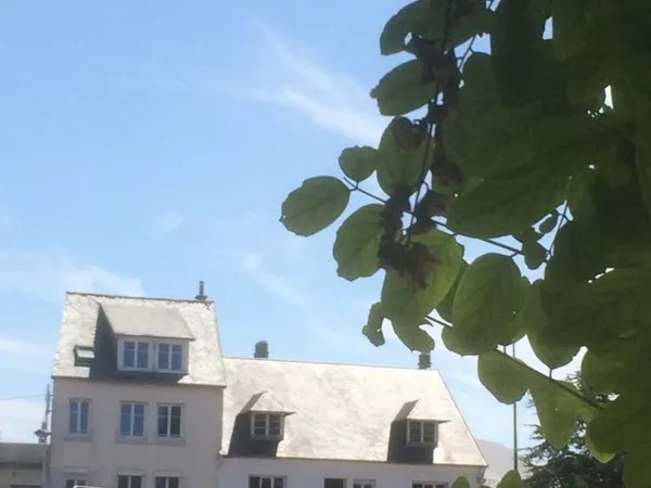 Appartement , centre, Coutainville,
