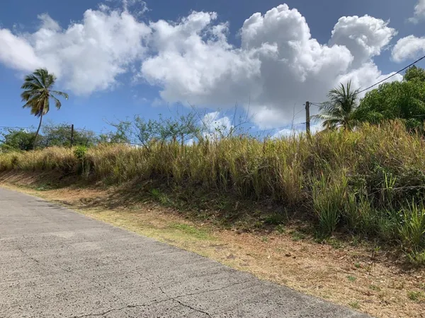 Terrain plat de 1175 m2 au quartier Sans Pareil