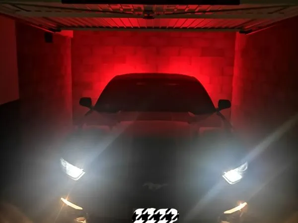 Garage/BOX XXL