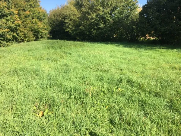 Terrain 580 m²