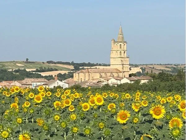 Maison T3 Avignonet Lauragais