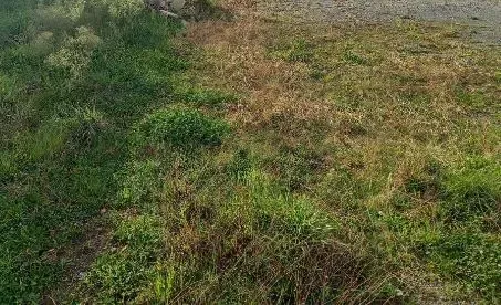 Terrain 350 m²