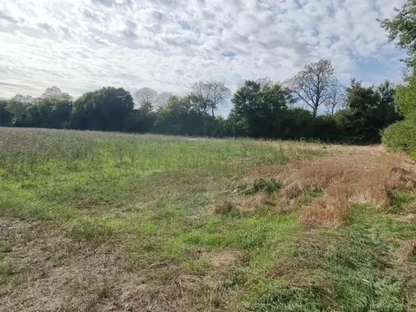 Terrain 283 m²
