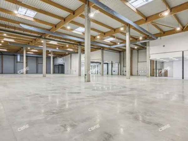 Local d'activité 11743 m²