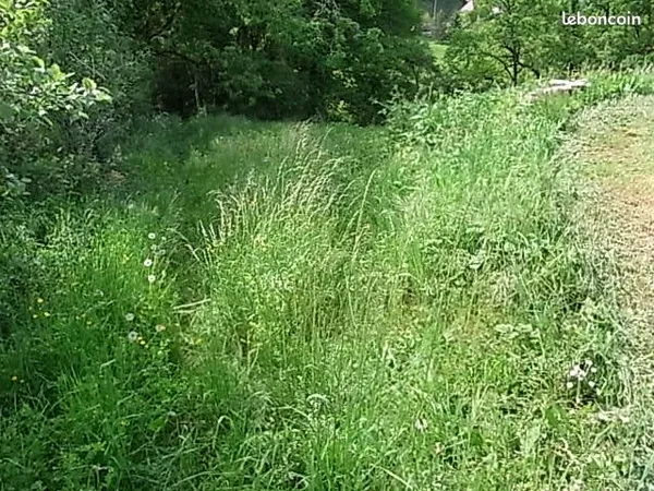 Parcelles agricole