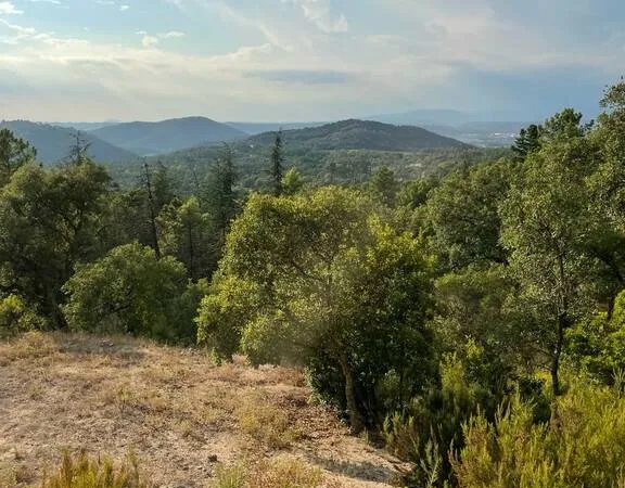 Terrain 10300 m²