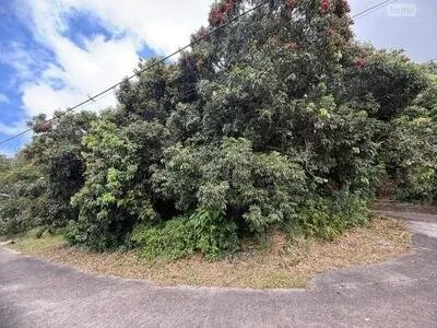 SAINT-JOSEPH - PLAINE DES GREGUES - Terrain nu de 928m²