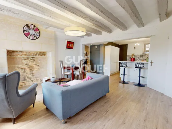 Maison Saint Cyr Sur Loire