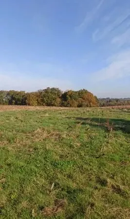 Terrain a bâtir avec cu opérationnel URGENT