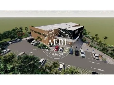 immeuble neuf de commerces, bureaux et entrepôts à Acajou