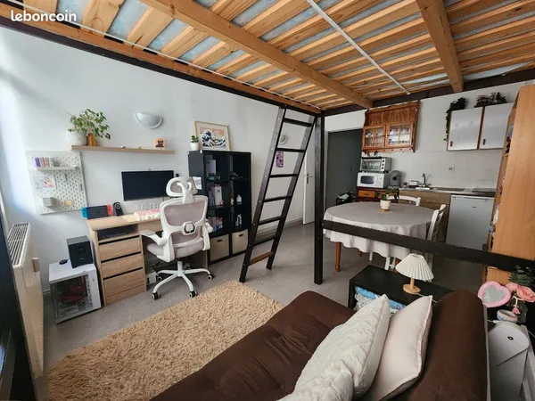 Loue grand studio strasbourg CV