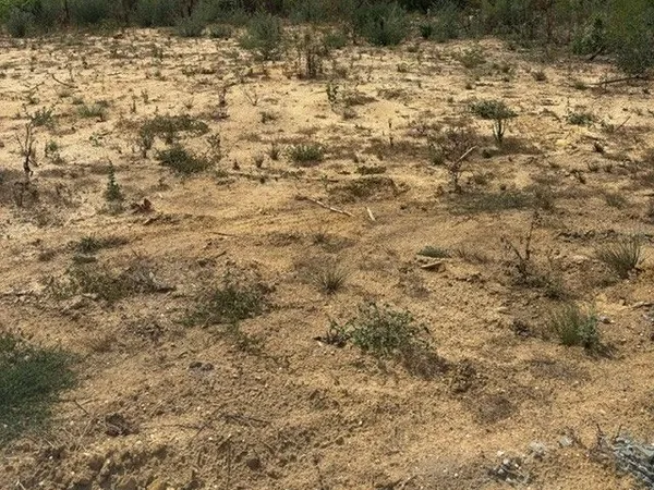 Situé à 5 min de l'océan ce terrain viabilisé de 926 m² est proposé sur la commune de Vensac 33590 i