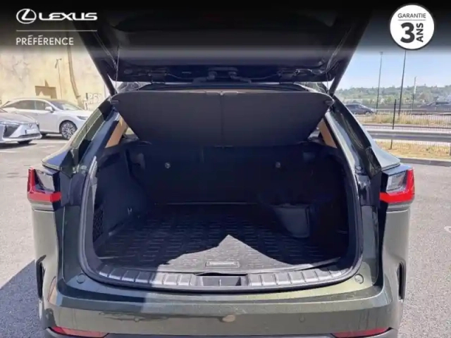 Lexus Nx 450h+ executive 4wd — photo 10