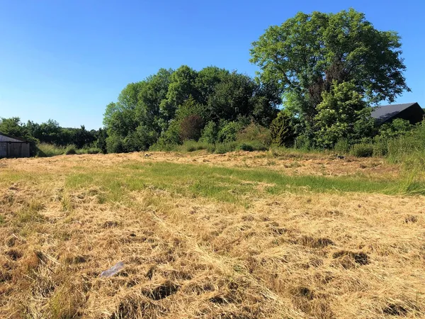 Terrain 4463 m²