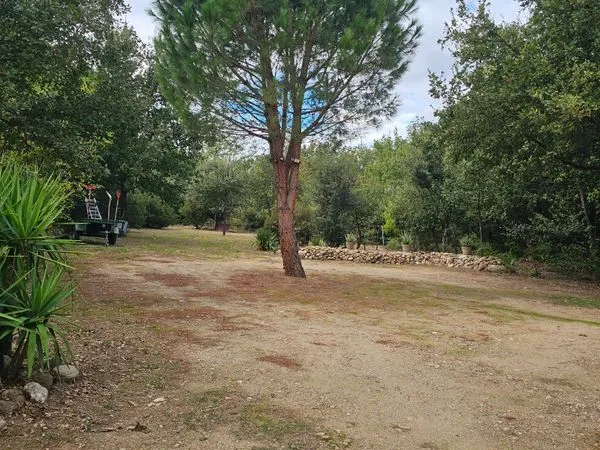 Terrain agricole
