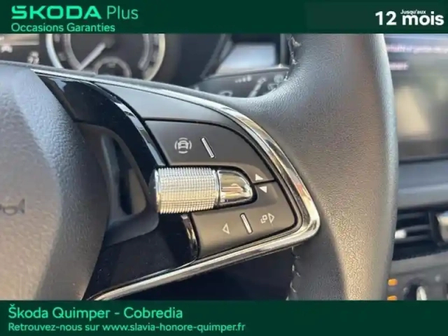 Skoda Fabia 1.0 tsi 95ch ambition — photo 15