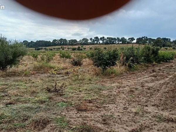 Immobilier, terrain agricole