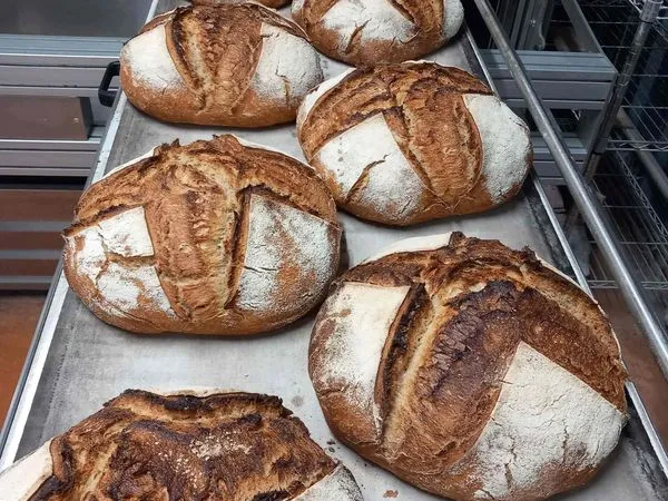 Cession Boulangerie-Pâtisserie BIO au levain - de la graine au pain