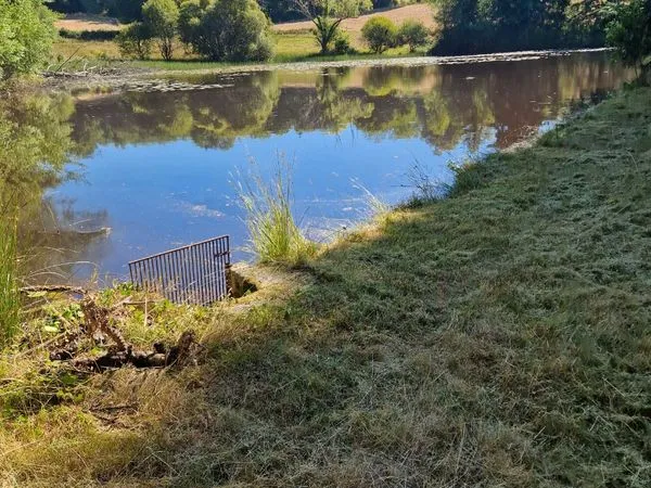 Terrain avec etang