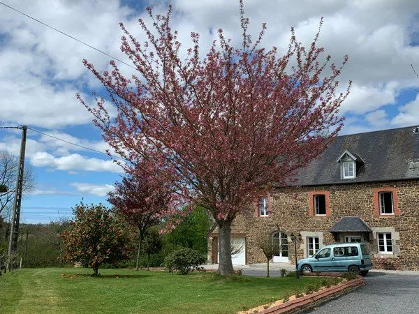 Maison en pierre