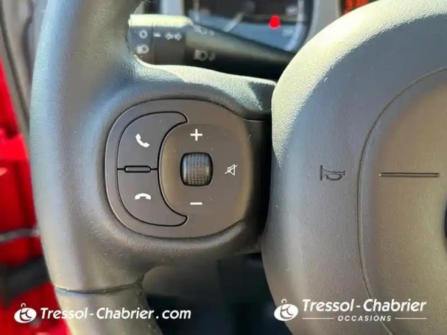 Fiat Panda 1.0 70 ch hybride bsg s/s city cross — photo 19