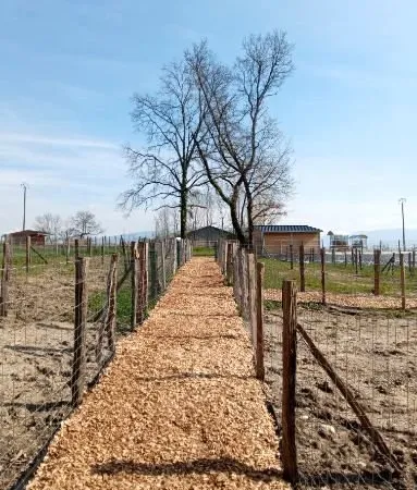 Jardin potager