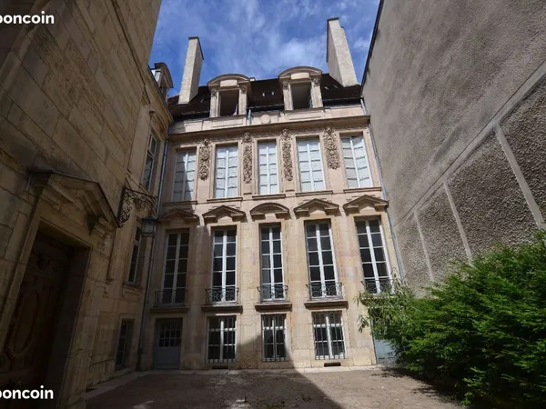 Grands Caveaux voûtés en Hôtel Particulier Classé + Parking en option - 100m de la Mairie de Dijon
