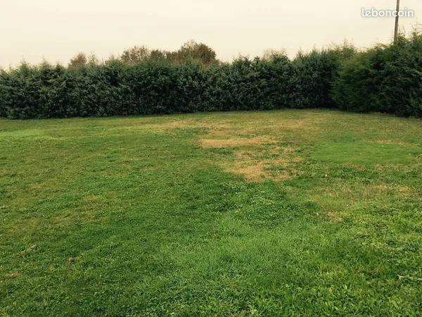 Terrain 950 m² Cercoux