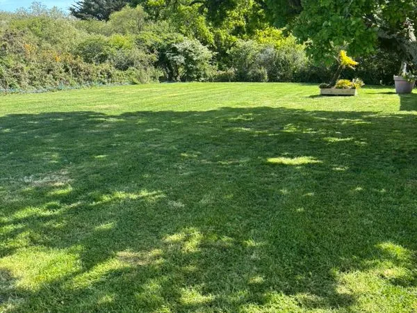 Location de terrain