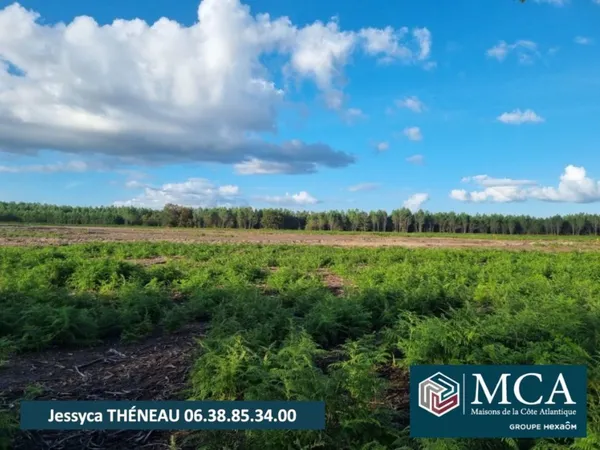 Terrain 728 m²