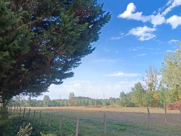 Location terrain