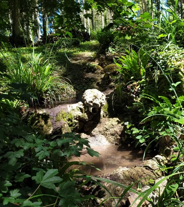 Photo 5